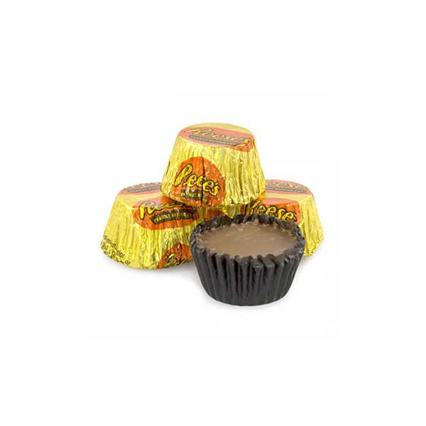 REESE'S MINIATURES SINGOLO - Jerry America